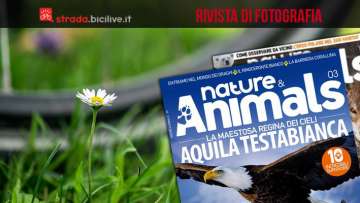 copertina di nature & animal con foto di bici
