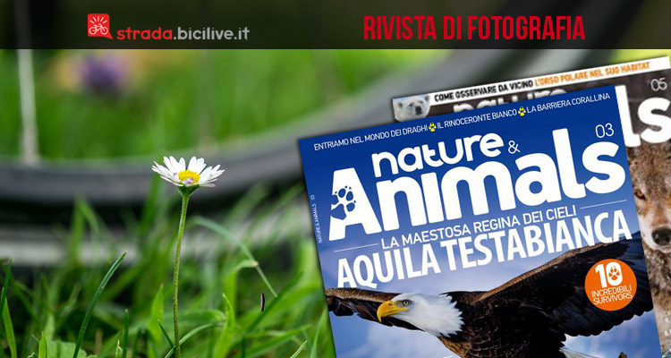 copertina di nature & animal con foto di bici
