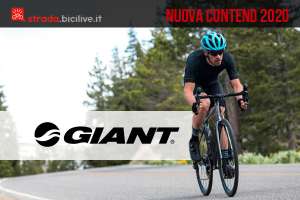 bici giant contend 2020