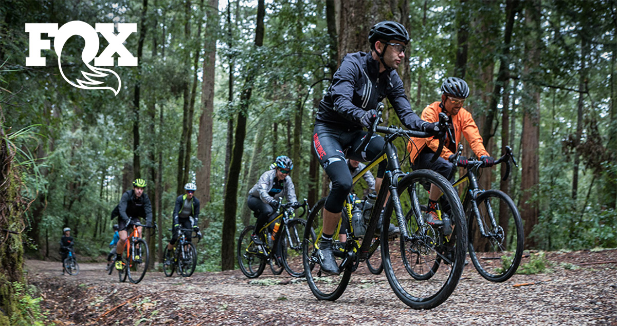 Un gruppo di ciclisti pedala in un bosco con delle biciclette gravel che montano le nuove forcelle FOX 2022
